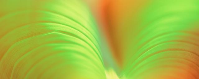 Compens - Therapie | 